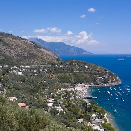 Aparthotel Olga's Relais 4*